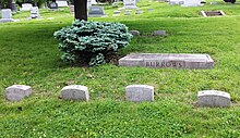 Parke T. Burrows grave.jpg