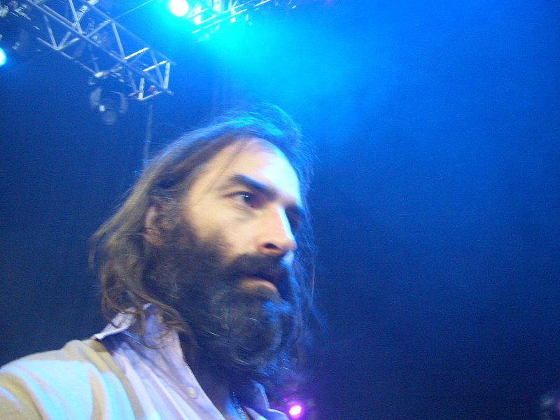 File:Warren Ellis, musician (2006).JPG