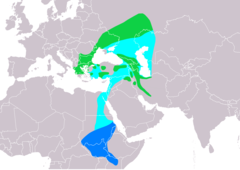 Distribución de Accipiter brevipes