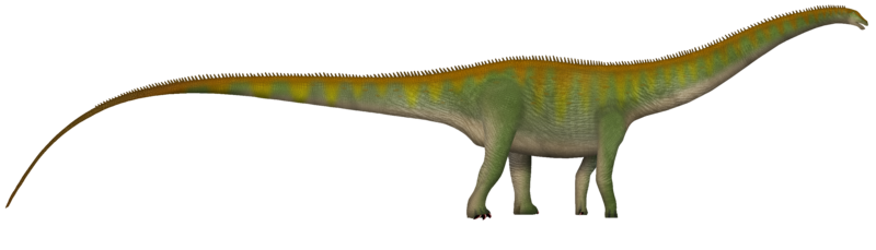 Archivo:Diplodocus UDL.png