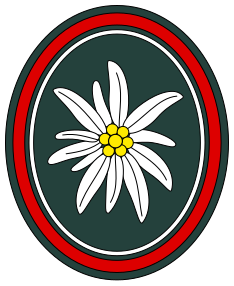 File:Gebirgsjägerbrigade 23 (Bundeswehr).svg