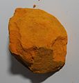 Indian yellow pigment