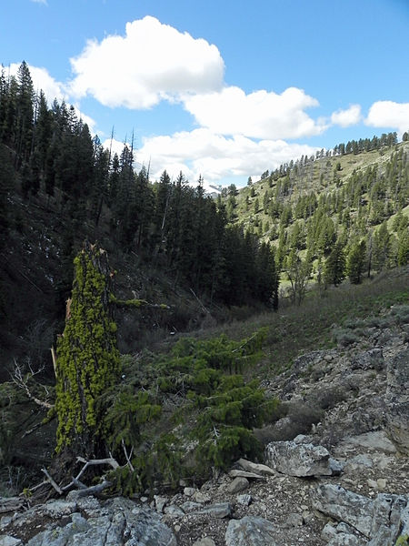 File:Jumbo Creek Sawtooth NF.JPG