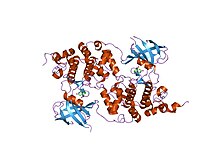 PDB 1q3w EBI.jpg