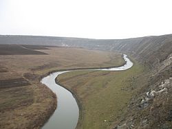 Răut River