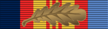 File:Vietnam Medal BAR MID.svg