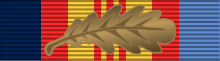 Vietnam Medal BAR MID.svg