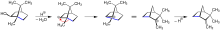 Wagner-Meerwein Camphen mechanism.svg