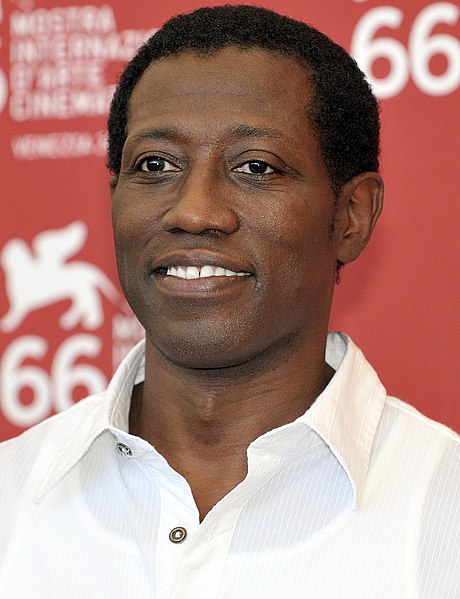 Archivo:Wesleysnipes cropped 2009.jpg