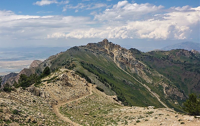 File:Willard Peak.jpg