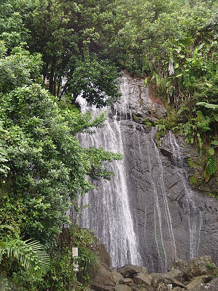 File:Yunque waterfall.jpg