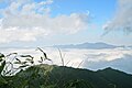 In Lào Cai province, the highest mountain in Indochina at 3,143 metres (10,312 ft).