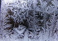 Ice crystals at window