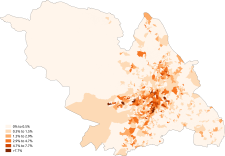 Asian-Indian