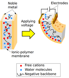 Ionic polymer-metal composites.png