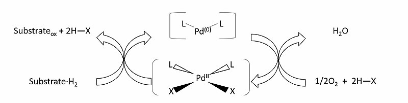 File:Palladium-oxygen catalytic cycle.jpg