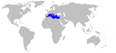 Distribución de Posidonia oceanica