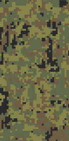 File:Russia-Army-OR-1-camo (2010).svg