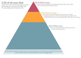 The severity of diagnosed COVID-19 cases in China. Now out-of-date, as data only through 11 February 2020.[62]