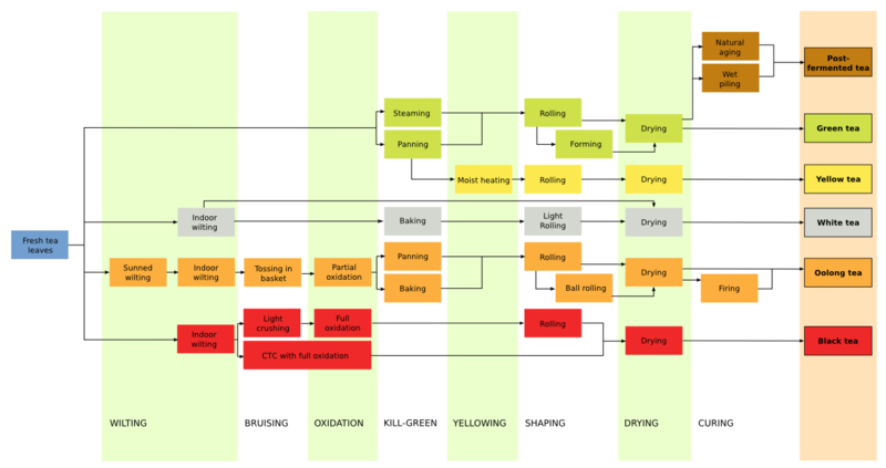 File:Teaprocessing-small.png