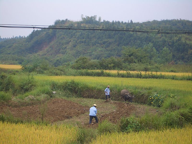 Файл:Xianning-fields-9731.jpg