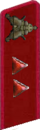 петлица 1937