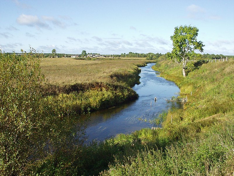 Файл:Arkhangelskaia oblast Plesetskiy Raion.JPG