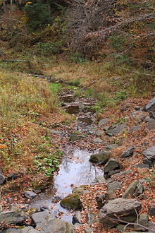 Benson Hollow looking downstream.JPG