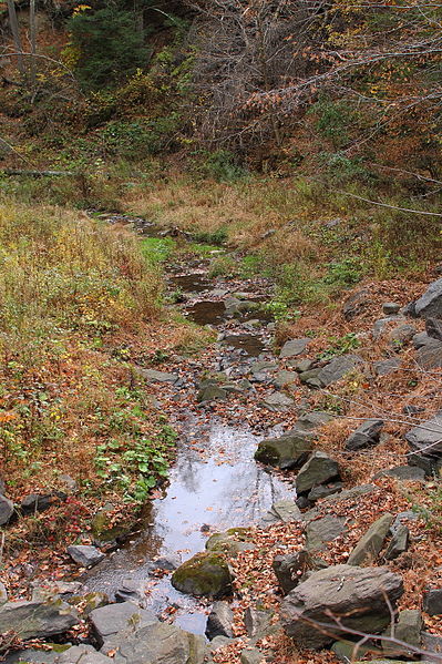 File:Benson Hollow looking downstream.JPG