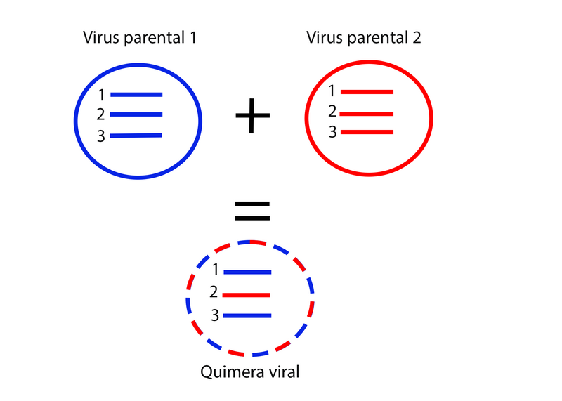 Archivo:Ejemplo de reordenamiento.png