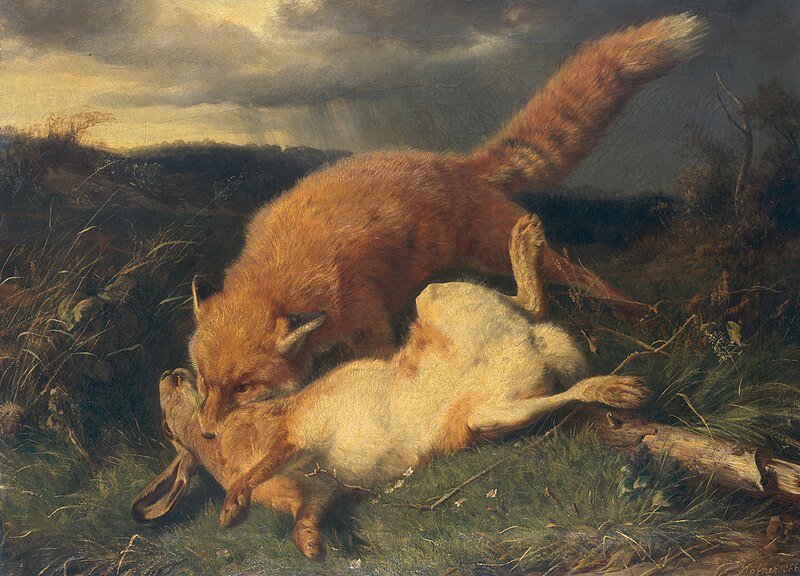 File:Harefox.jpg