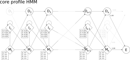 The core profile HMM architecture used by HMMER.