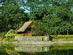 A Goalpara Assam homestead