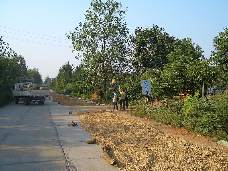 File:Jiangxia-peanuts-9707.jpg