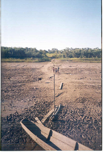 Archivo:Mamoré-playa y selva.jpg