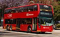 Image 90Alexander Dennis Enviro500 MMC double-decker bus on Mexico City Metrobús' new line 7 running along Calzada de los Misterios (from Double-decker bus)