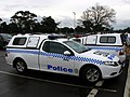 Ford Falcon (Dog Unit)