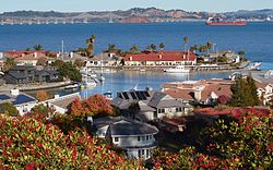 A view of Paradise Cay near Tiburon