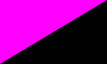 Queer anarchism flag.svg