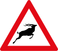 Deer Crossing