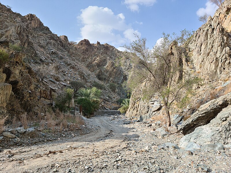 File:Wadi Tayyibah after rain.jpg