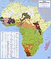 The language families of Africa