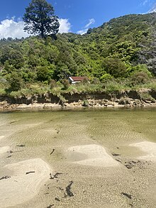 Awaroa River (Tasman) 75.jpg