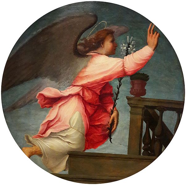 File:Franciabigio Angel 02.jpg