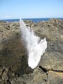 Kiama Blowhole