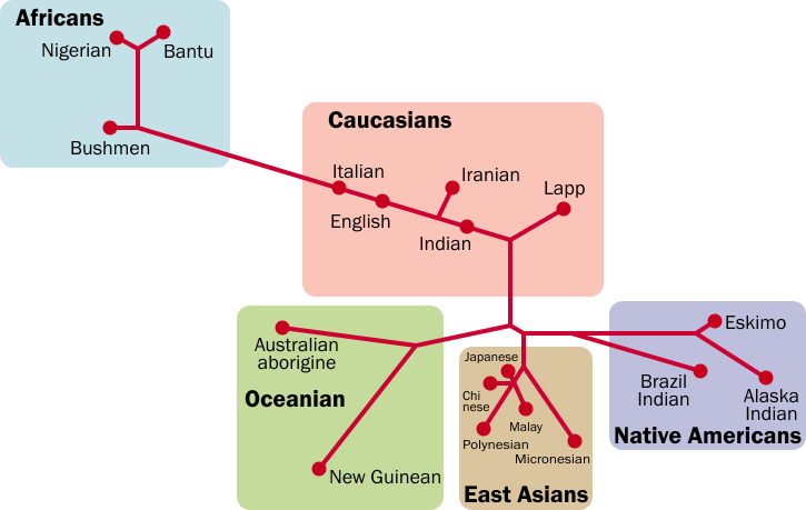 File:Neighbor-joining Tree.svg