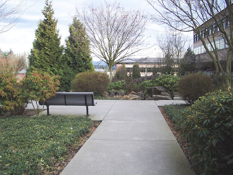 File:On Microsoft Campus.jpg