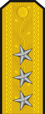 File:Romania-Navy-OF-8.svg