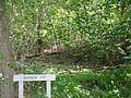 Shawnee Lookout fort