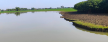 Thakurbari lake